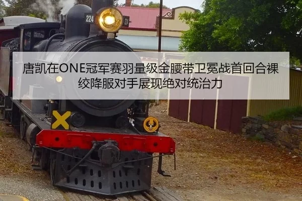 唐凯在ONE冠军赛羽量级金腰带卫冕战首回合裸绞降服对手展现绝对统治力